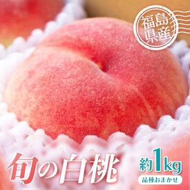 【ふるさと納税】2026年先行予約 高評価 福島県産 品種おまかせ どれが届くかお楽しみ白桃 約1kg 旬の桃 数量限定 期間限定 桃 もも モモ 果物 くだもの フルーツ F20C-946