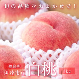 【ふるさと納税】2025年出荷分 先行予約 旬の桃 伊達市産 どれが届くかお楽しみ白桃 1kg（3〜5玉）2025年7月上旬〜2025年9月中旬出荷 伊達の桃 桃 もも モモ 名産品 果物 くだもの フルーツ 国産 産地直送 F20C-946