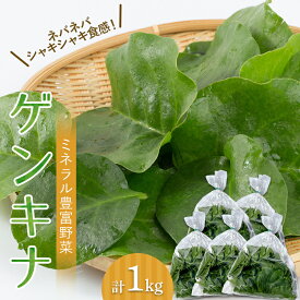 【ふるさと納税】 ツルムラサキの仲間のネバネバ野菜！ミネラル豊富なゲンキナ（R）（オカワカメ） 1kg F20C-948