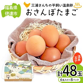 【ふるさと納税】 三浦さんちの平飼い温泉玉子 おさんぽたまご 計48玉 伊達市 福島県 国産 養鶏場直送 卵 たまご 玉子 鶏卵 温泉たまご F20C-951