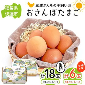 【ふるさと納税】 三浦さんちの平飼い卵 おさんぽたまご(生卵と温泉玉子セット) 生卵18玉入り、温泉玉子6玉入り(計24玉) 伊達市 福島県 国産 養鶏場直送 卵 たまご 玉子 生卵 鶏卵 温泉たまご F20C-954