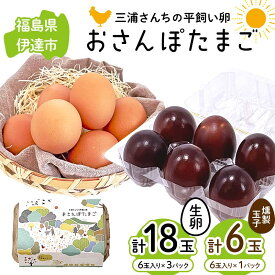 【ふるさと納税】 三浦さんちの平飼い卵 おさんぽたまご(生卵と燻製玉子セット) 生卵18玉入り、燻製玉子6玉入り(計24玉) 伊達市 福島県 国産 養鶏場直送 卵 たまご 玉子 生卵 鶏卵 燻製たまご F20C-956