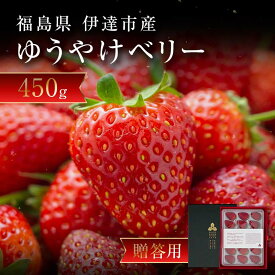 【ふるさと納税】 ＜2026年発送＞【贈答用】極上いちご！福島オリジナル品種 ゆうやけベリー 450g F20C-958