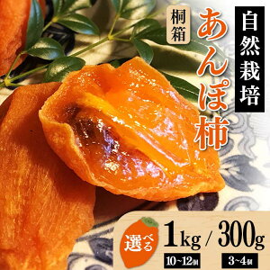 【ふるさと納税】 【贈答用】自然栽培あんぽ柿 桐箱 【300g(3〜4 個入り)/1kg(10〜12 個入り)】 F20C-967var