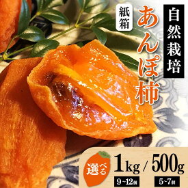 【ふるさと納税】 【贈答用】自然栽培あんぽ柿 紙箱 【500g（5～7 個入り）/1kg（9~12個入り）】 F20C-969var