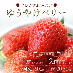 �y�ӂ邳�Ɣ[�Łz�_�I�ׂ�e�ʁ^ �v���~�A�������� �䂤�₯�x���[ ��450�`500g�i12�`15���j or ��900g�`1kg�i24�`30���j F20C-981var