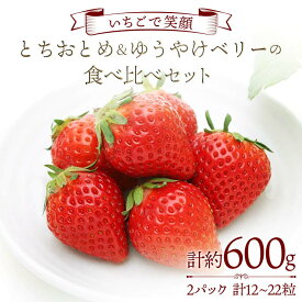 【ふるさと納税】【いちごで笑顔】とちおとめ＆ゆうやけベリーの食べ比べセット 約300g×2パック プレミアムいちご 苺 食べ比べ F20C-984