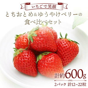 �y�ӂ邳�Ɣ[�Łz�y�������ŏΊ�z�Ƃ����Ƃ߁��䂤�₯�x���[�̐H�ה�׃Z�b�g ��300g×2�p�b�N �v���~�A�������� � �H�ה�� F20C-984