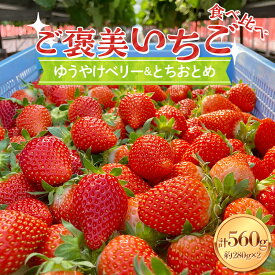 【ふるさと納税】【ご褒美いちご】「ゆうやけベリー」「とちおとめ」の食べ比べセット 約280g×2パック F20C-987