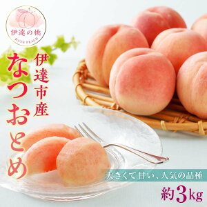 yӂ邳Ɣ[Łzy2026Noוs\zY ȂƂ 3kg (9`16) LЈɒB Vi  ɒB̓  t[c ʕ   momo F20C-349