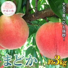 【ふるさと納税】【2026年出荷分先行予約】福島県産 まどか 約3kg (9～12玉) 枝並農園 大玉 固め 伊達の桃 桃 フルーツ 果物 もも モモ momo F20C-370