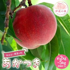 yӂ邳Ɣ[Łz_Iׂeʁ^y2026Noוs\zY  2kg 3kg 5kg 䂠_ ɒB̓  t[c ʕ   momo F21C-205var