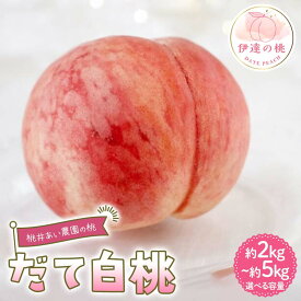 【ふるさと納税】＼選べる容量／【2026年出荷分先行予約】 福島県産 だて白桃 約2kg 約3kg 約5kg 桃井あい農園 伊達の桃 桃 フルーツ 果物 もも モモ momo F21C-211var