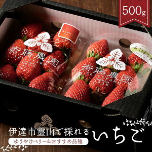 yӂ邳Ɣ[Łz2026NɒBsRō̂邢2ދlߍ킹500gi䂤₯x[ߕij 䂤₯x[ ƂƂ ӂ͂鍁 gق Cx[ C`S  