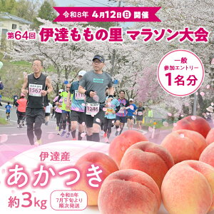 yӂ邳Ɣ[Łz64 ɒB̗}\ ʎQGg[ 1Ɠ 3kg F21C-300