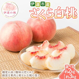 yӂ邳Ɣ[Łz_Iׂeʁ^y2026Noוs\z ɒBsY 甒 2kgE3kg ܂ ɒB̓  t[c ʕ   momo F21C-294var