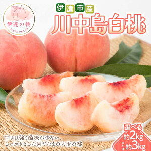 yӂ邳Ɣ[Łz_Iׂeʁ^y2026Noוs\z ɒBsY 쒆 2kgE3kg ܂ ɒB̓  t[c ʕ   momo F21C-296var