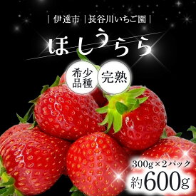 【ふるさと納税】完熟いちご ほしうらら 約600g いちご イチゴ 苺 デザート フルーツ 果物 くだもの 果実 食品 F21C-298