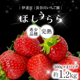 【ふるさと納税】完熟いちご「ほしうらら」 約1.2kg いちご イチゴ 苺 デザート フルーツ 果物 くだもの 果実 食品 F21C-299