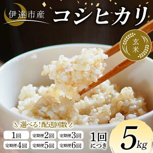 �y�ӂ邳�Ɣ[�Łz �_�I�ׂ����񐔁^�ߘa7�N�Y�� �ɒB�s�Y �R�V�q�J�� ���� 5kg ���� ���͂� ���C�X �ɒB�s F21C-337var