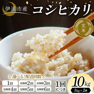 �y�ӂ邳�Ɣ[�Łz �_�I�ׂ����񐔁^�ߘa7�N�Y�� �ɒB�s�Y �R�V�q�J�� ���� 10kg ���� ���͂� ���C�X �ɒB�s F21C-343var