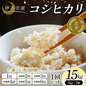 �y�ӂ邳�Ɣ[�Łz �_�I�ׂ����񐔁^�ߘa7�N�Y�� �ɒB�s�Y �R�V�q�J�� ���� 15kg ���� ���͂� ���C�X �ɒB�s F21C-349var