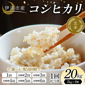 �y�ӂ邳�Ɣ[�Łz �_�I�ׂ����񐔁^�ߘa7�N�Y�� �ɒB�s�Y �R�V�q�J�� ���� 20kg ���� ���͂� ���C�X �ɒB�s F21C-355var