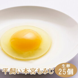 【ふるさと納税】福島県本宮市産 平飼い本宮もみじ卵 生卵 25個 たまご もみじたまご 平飼い卵 平飼い 鶏 卵 福島県 本宮市 本宮烏骨鶏 【07214-0012】