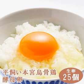 【ふるさと納税】福島県本宮市産　平飼い本宮烏骨鶏酵母卵 生卵 25個 たまご もみじたまご 平飼い卵 平飼い 鶏 烏骨鶏 卵 福島県 本宮市 本宮烏骨鶏 【07214-0013】