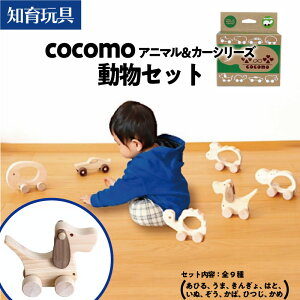 yӂ邳Ɣ[Łzcocomo Aj}J[ Zbg@y07214-0201z ؍H ؐ m ߋ  ԗ֕t Ђ̂ ʂ  蕨 q qǂ   {{s Ќ