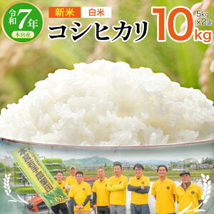 yӂ邳Ɣ[Łzyߘa7NYzyeʂIׂIzYRVqJᔒā@5kg,10kgI   R  ͂ Ђ  ߘa7NY {{s Y  {{