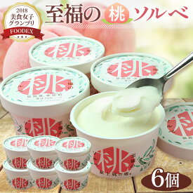 【ふるさと納税】「至福の桃ソルベ」6個 ／ アイス シャーベット スイーツ 送料無料 福島県 特産品 No.003