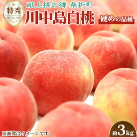 【ふるさと納税】No.098 もも（川中島白桃）特秀　約3kg【返礼品発送期間：令和6年8月頃】 ／ フルーツ 果物 送料無料 福島県 特産品 期間限定の先行予約となる訳あり返礼品