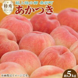 【ふるさと納税】No.099 もも（あかつき）特秀　約5kg「献上桃の郷」ブランド品【返礼品発送期間：令和6年7月～8月頃】 ／ フルーツ 果物 送料無料 福島県 特産品 期間限定の先行予約となる訳あり返礼品