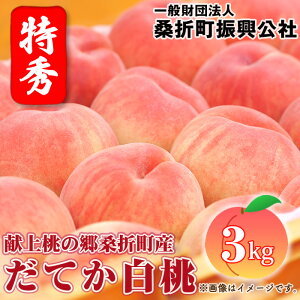 【ふるさと納税】No.180 もも【だてか白桃・2026年産先行受付】特秀3kg(8〜11玉)桑折町振興公社 桃 / モモ 果物 くだもの フルーツ 甘味 果汁 ジューシー 桑折 こおり こおりまち 送料無料