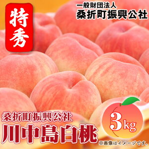 yӂ邳Ɣ[ŁzNo.184 y쒆E2026NYstzG3kgi9`11ʁjKܒU ^  d  ʏ` Â   Yi
