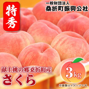 【ふるさと納税】No.187 もも【さくら白桃・2026年産先行受付】特秀3kg(8〜11玉)桑折町振興公社 桃 / モモ 果物 くだもの フルーツ 甘味 果汁 ジューシー 桑折 こおり こおりまち 送料無料