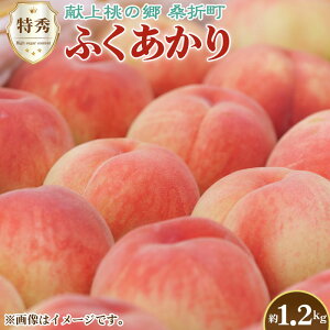 yӂ邳Ɣ[ŁzNo.223 yӂE2026NYstzG1.2kg@KܒY@JAӂܖ@ ^  ʕ t[c   Yi