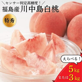 【ふるさと納税】【選べる容量】透過式光センサー川中島白桃 特秀 3kg相当 もしくは 5kg相当＜ ふくしま未来農業協同組合 ＞ | ふくしま 桃 福島 もも 国見 モモ 果物 くだもの 詰め合わせ フルーツ ※2025年8月中旬頃に順次発送予定 ※沖縄・離島への配送不可