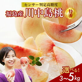 【ふるさと納税】【選べる容量】透過式光センサー川中島白桃 特秀 3kg相当 もしくは 5kg相当＜ ふくしま未来農業協同組合 ＞ | ふくしま 桃 福島 もも 国見 モモ 果物 くだもの 詰め合わせ フルーツ ※2026年8月中旬頃より順次発送予定 ※沖縄・離島への配送不可