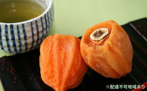 yӂ邳Ɣ[Łzۊ` I`  1kgi7`15ʁj Eւ̔zs 2025N12{`2026N2{ɏ\