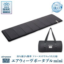 楽天市場】エアウィーヴ エアパッド 016 airweaveの通販