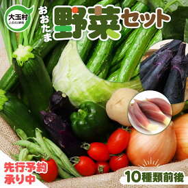 【ふるさと納税】 野菜セット 【令和6年度 先行予約 】 お試し 大玉村産 旬の野菜（10種類前後） 野菜 詰め合わせ SDGs 【01104】 鍋 送料無料 5000円 スーパーSALE 葉物 採れたて 新鮮 トマト 玉ねぎ ナス ピーマン