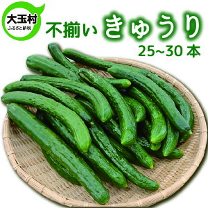 yӂ邳Ɣ[Łz イ 󂠂  20{`25{ Ȃ ʌ y01093z SDGs t[hX HiX KiO s ƒp  LE Ԍ  Ė VN { 5000~ 