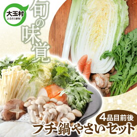 【ふるさと納税】《旬の味覚》 大玉村 の プチ鍋 やさい セット（ 4品目前後 ） ｜ 野菜 セット 旬 野菜セット 鍋 4000円 産地直送 おまかせ 詰め合わせ やさい 送料無料 福島県大玉村 om-ys-nb-p