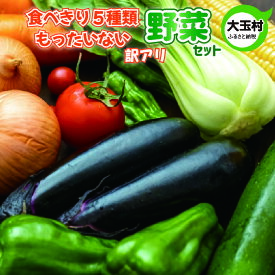 【ふるさと納税】もったいない野菜　野菜セット（5種類程度）　野菜　新鮮　訳あり　食べ切り　SDGs【01105】