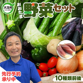 【ふるさと納税】野菜 朝採れ 詰め合わせ 5000円 セット 大玉村 10種類程度 お試し 新鮮 旬 ランキング 人気 大根 キャベツ ブロッコリー 唐辛子 みょうが きゅうり トウモロコシ トマト ネギ ピーマン なす とうもろこし ズッキーニ 枝豆 ほうれん草【6月以降発送】