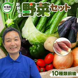 【ふるさと納税】野菜 朝採れ 詰め合わせ 5000円 セット 大玉村 10種類程度 お試し 新鮮 旬 ランキング 人気 大根 キャベツ ブロッコリー 唐辛子 みょうが きゅうり トウモロコシ トマト ネギ ピーマン なす とうもろこし ズッキーニ 枝豆 ほうれん草【6月以降発送】