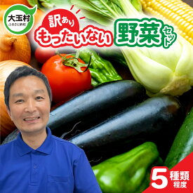 【ふるさと納税】訳あり 野菜セット 傷 5000円 以内 ( 5種類程度 ) 詰め合わせ 使い切りサイズ フードロス 余剰野菜 少量セット 食べ切り 地元農家応援 不揃い 規格外 5000円 以下 SDGs 白菜 大根 ねぎ 人参 ほうれん草 かぶ 里芋 しいたけ 春菊 小松菜 om009