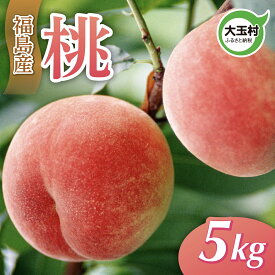 【ふるさと納税】桃 福島 5kg 大玉村産（M〜Lサイズ16-20玉入） 【令和8年分 先行予約 】※7月上旬以降順次発送 ｜ もも モモ 旬 果物 フルーツ 果実 くだもの｜om-mm05-R8